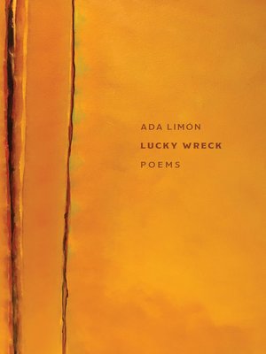 cover image of Lucky Wreck